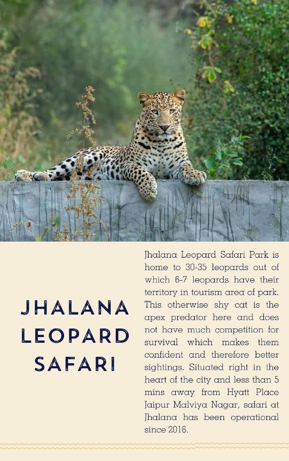Hyatt Place Jaipur Malviya Nagar Εξωτερικό φωτογραφία Jhalana Leopard